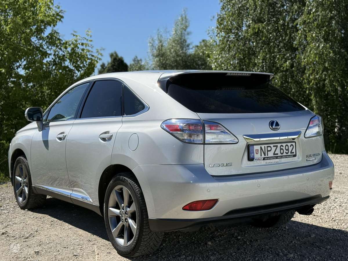 Miniatiūra 7