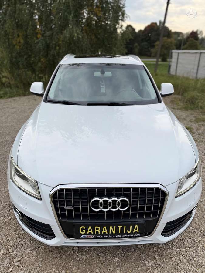 Miniatiūra 19