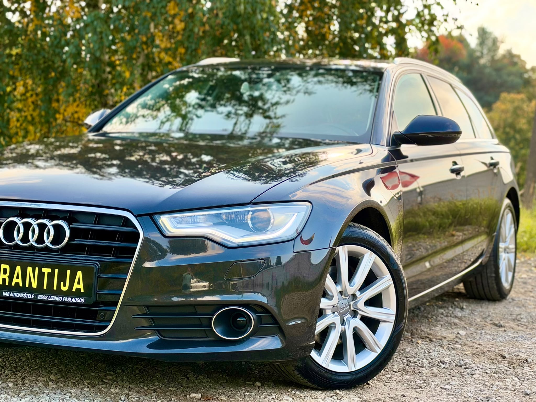 Miniatiūra 8