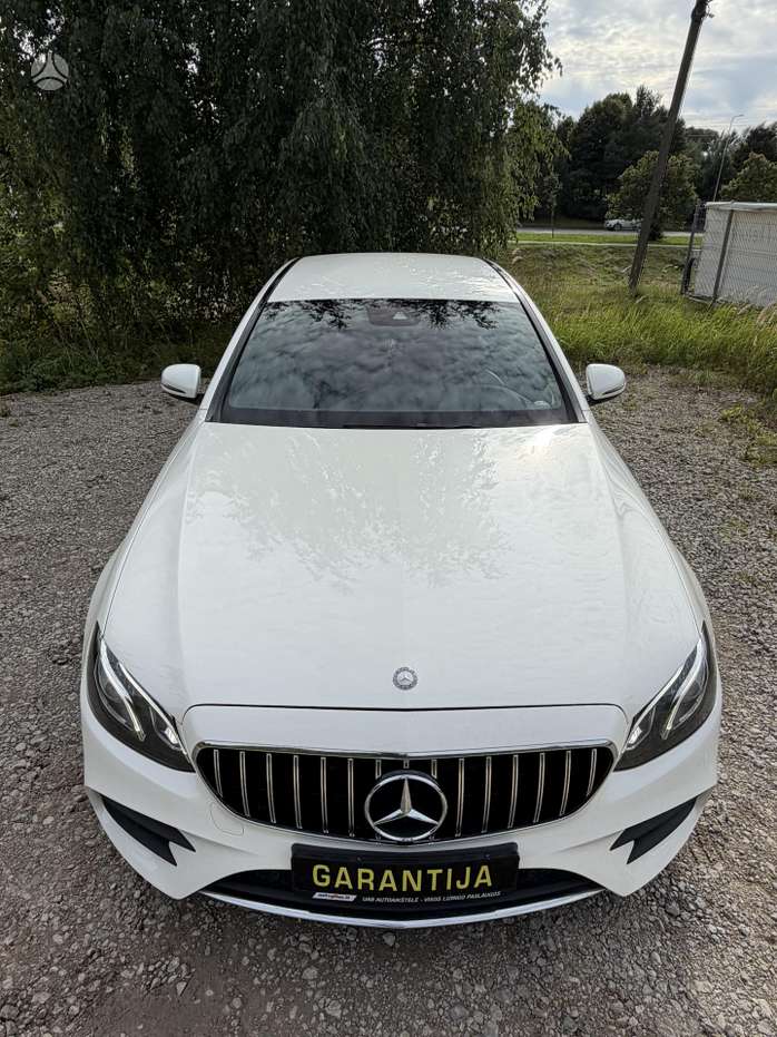 Miniatiūra 19
